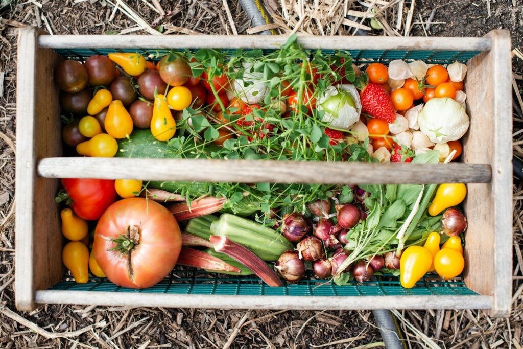 Crate of freshly harvested garden vegetables ready for market
